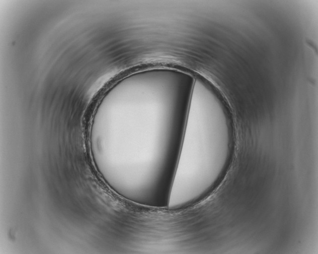 X0000103311022200808291148
