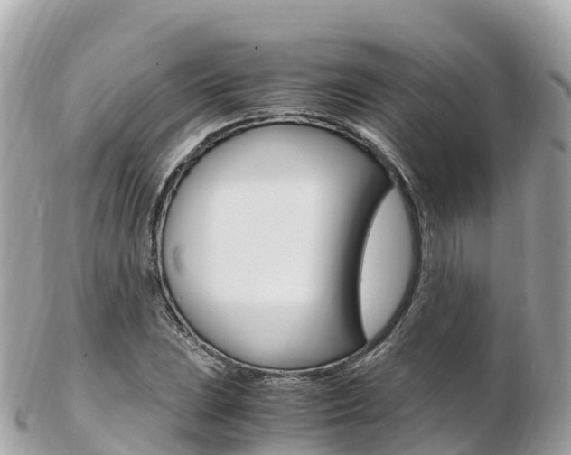 X0000103311023200808291148