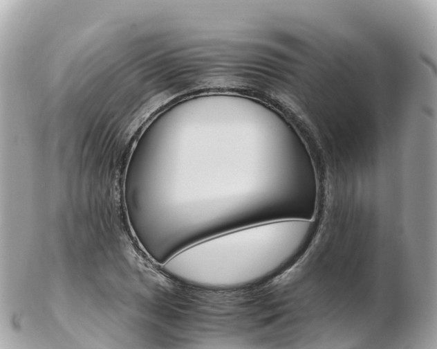 X0000103311025200808291148