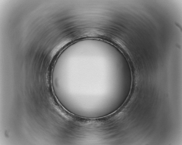 X0000103311026200808291148