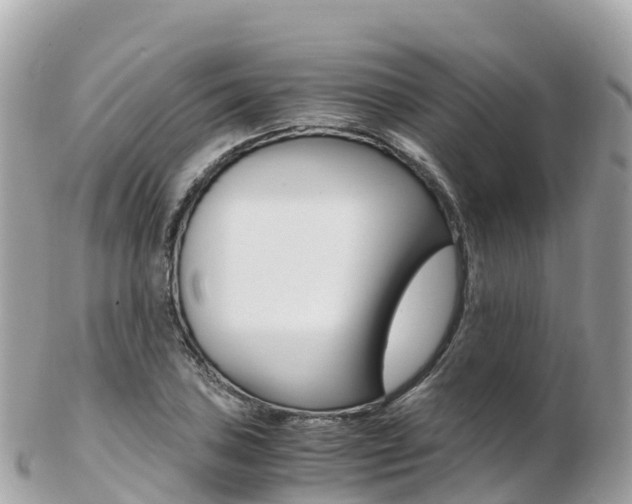 X0000103311027200808291148