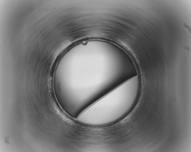 X0000103311029200808291148