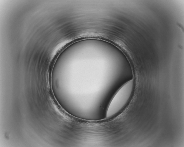 X0000103311030200808291148