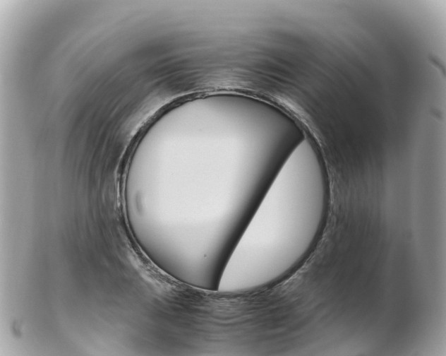 X0000103311031200808291148