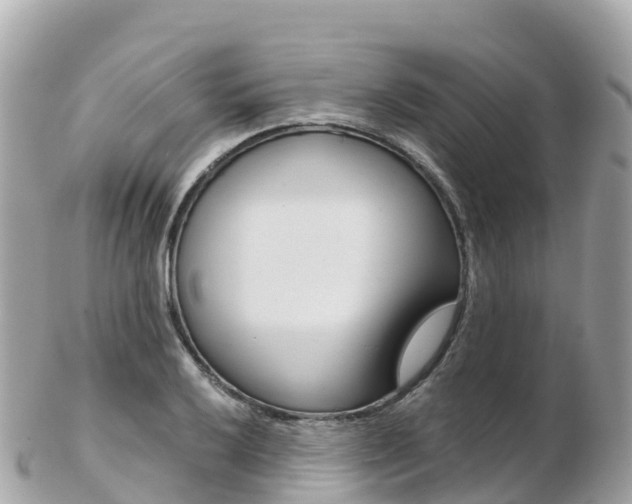 X0000103311032200808291148
