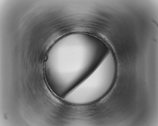X0000103311033200808291148
