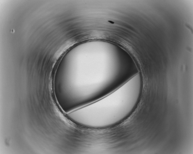 X0000103311034200808291148