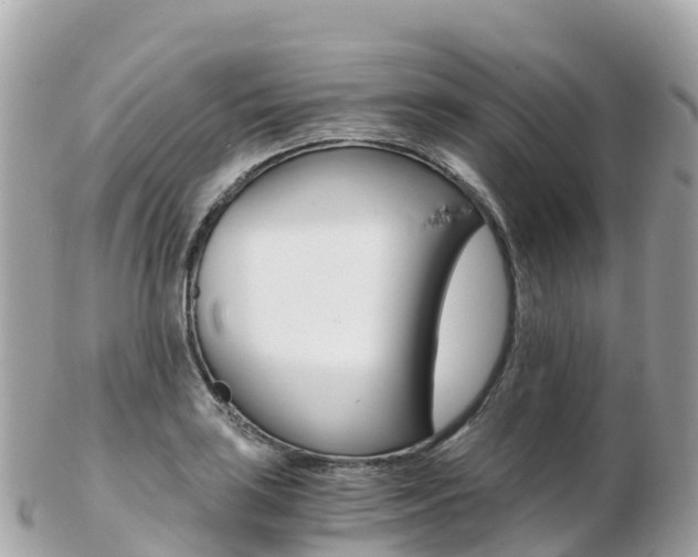 X0000103311035200808291148