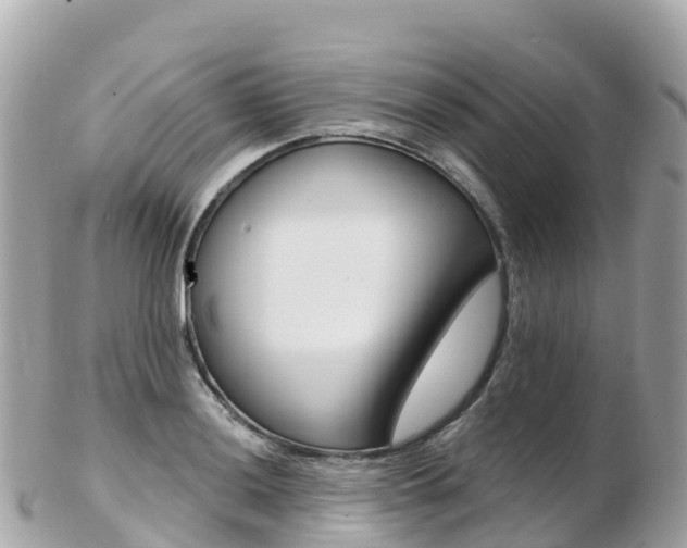 X0000103311036200808291148