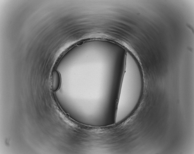 X0000103311037200808291148