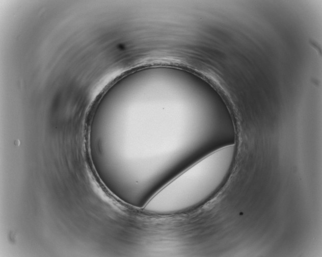 X0000103311038200808291148