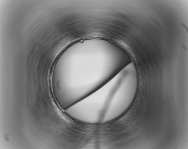 X0000103311039200808291148