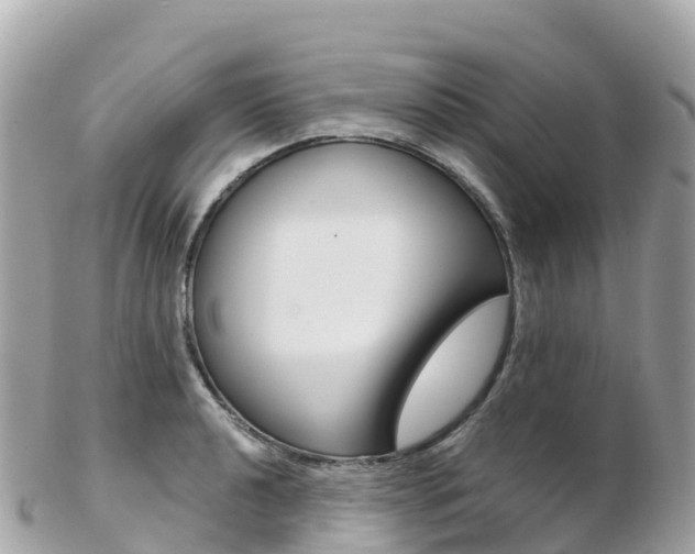 X0000103311040200808291148