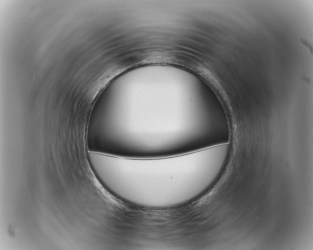 X0000103311041200808291148