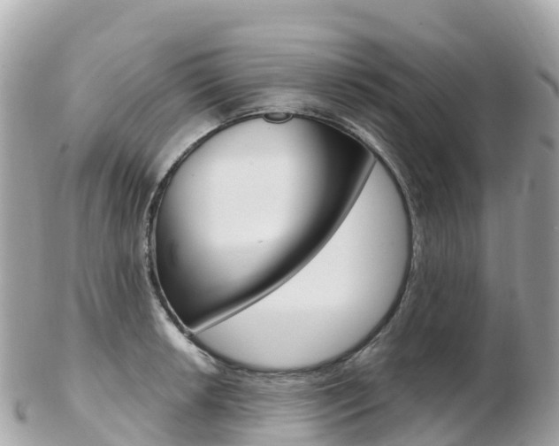X0000103311042200808291148