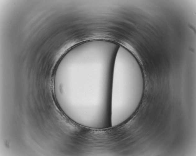 X0000103311043200808291148