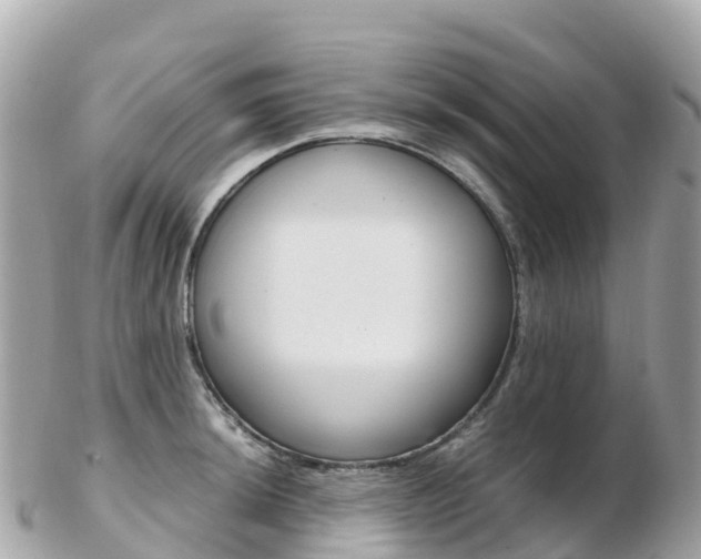 X0000103311044200808291148