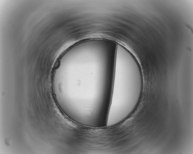 X0000103311045200808291148