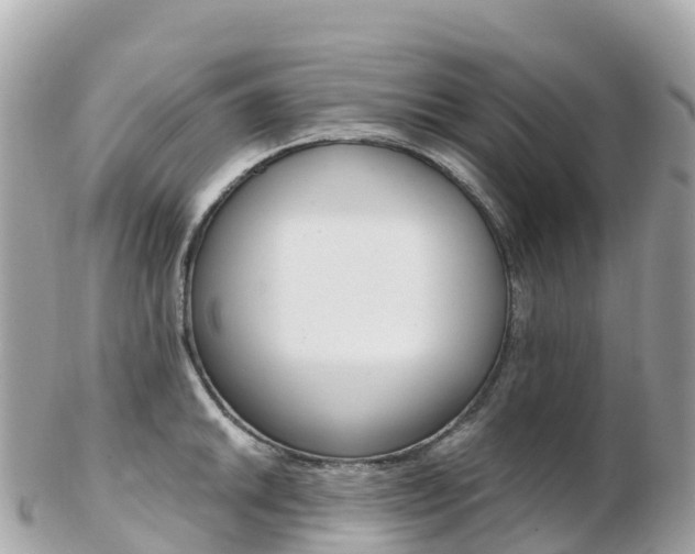 X0000103311046200808291148