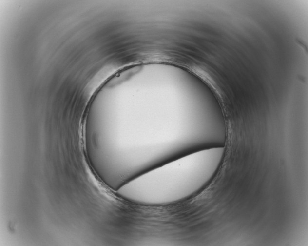 X0000103311047200808291148