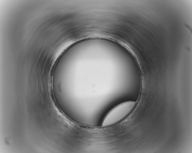 X0000103311048200808291148