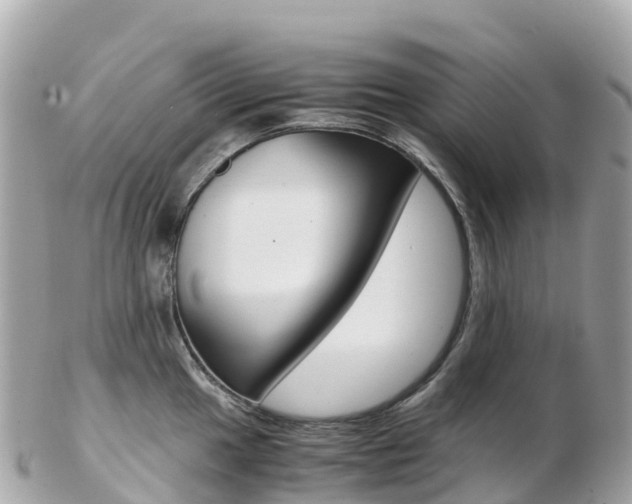 X0000103311049200808291148