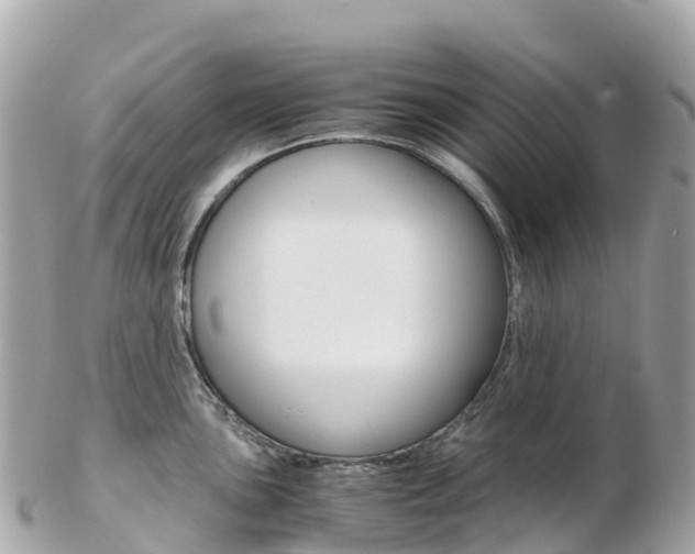 X0000103311051200808291148