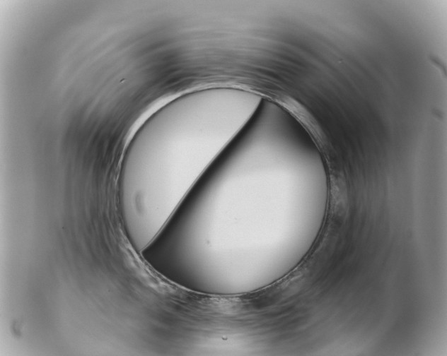 X0000103311052200808291148