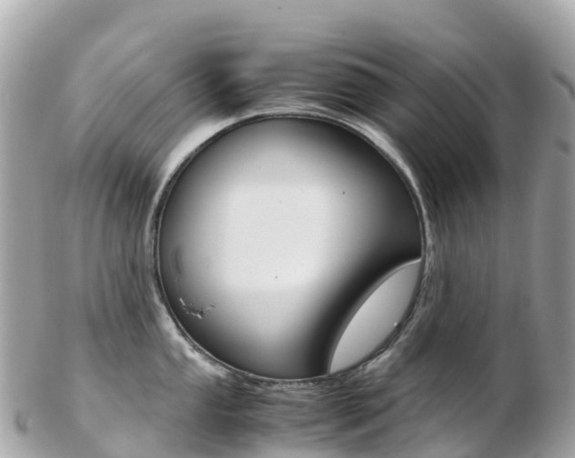 X0000103311053200808291148