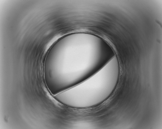 X0000103311054200808291148