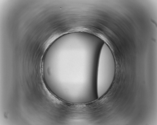 X0000103311055200808291148