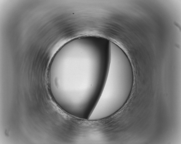 X0000103311056200808291148
