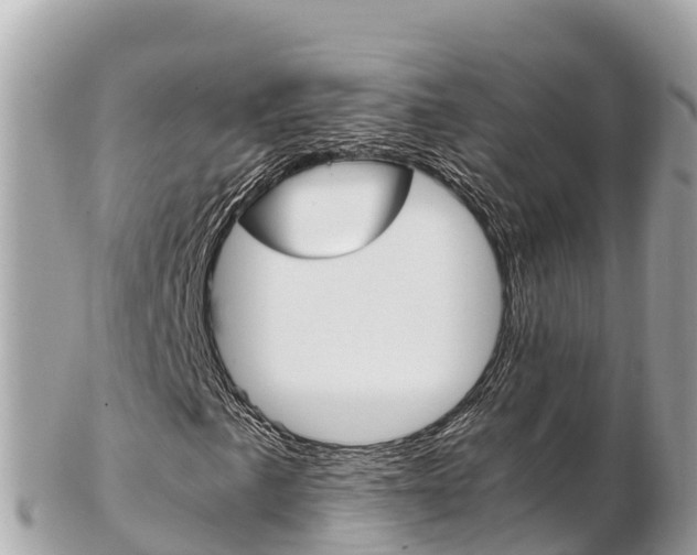 X0000103311057200808291147