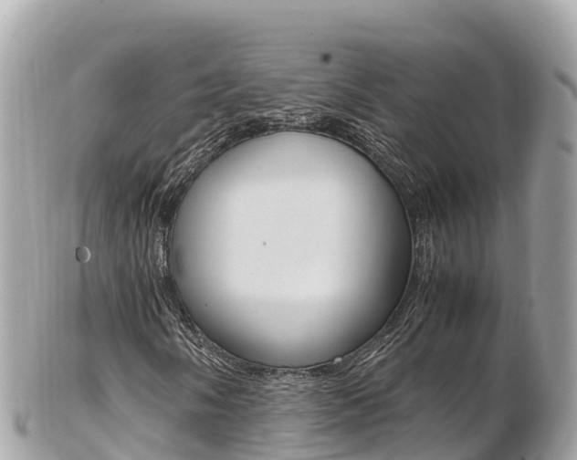 X0000103311058200808291147