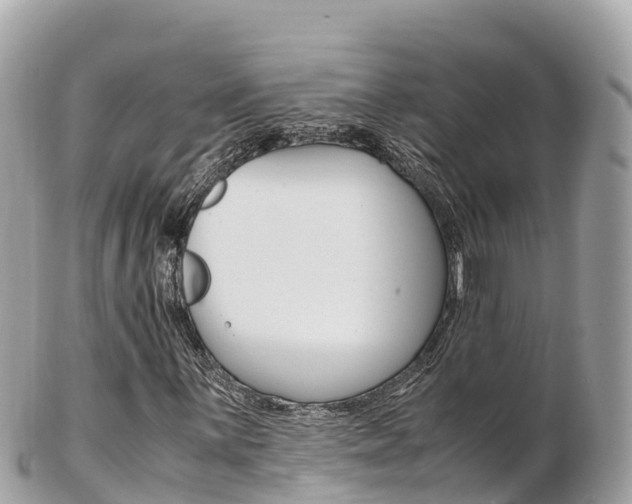 X0000103311059200808291147