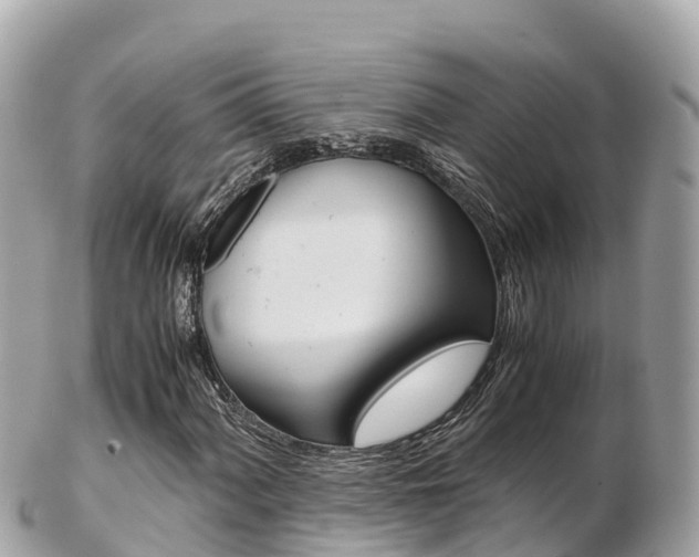 X0000103311060200808291147