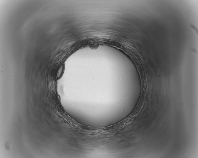 X0000103311061200808291147