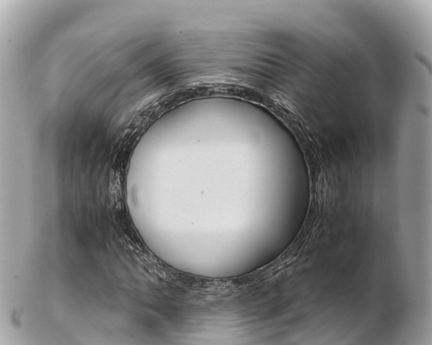 X0000103311062200808291147