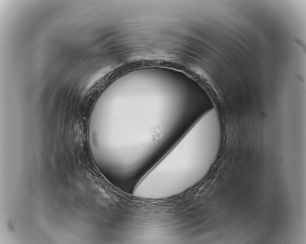 X0000103311064200808291147