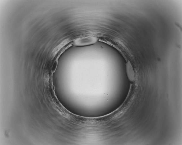 X0000103311065200808291147