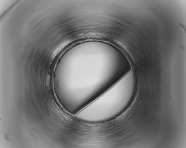 X0000103311066200808291147