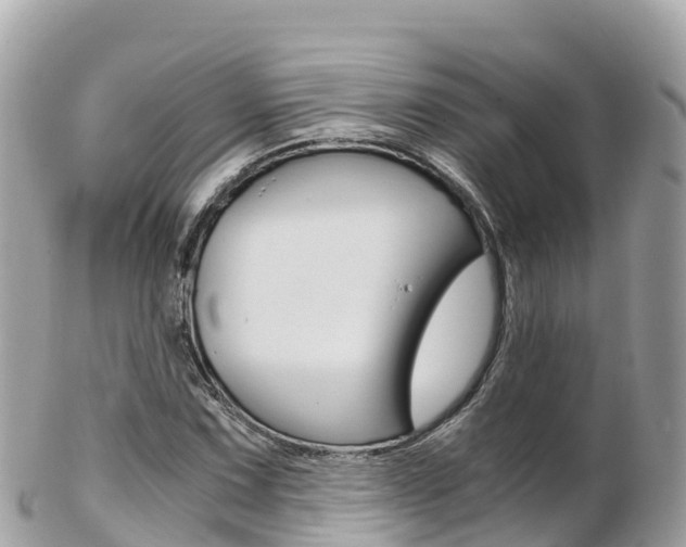 X0000103311067200808291147