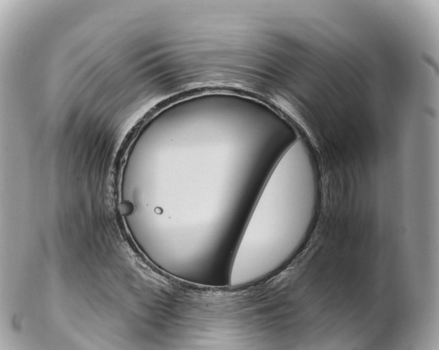 X0000103311068200808291147