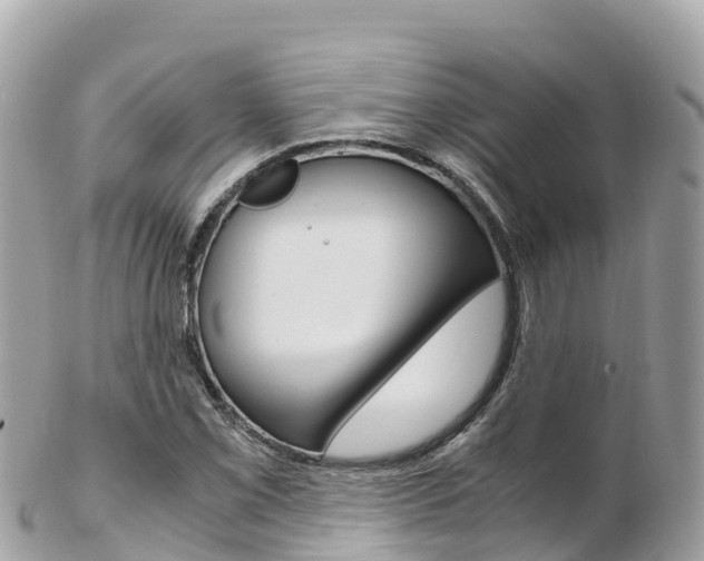 X0000103311069200808291147