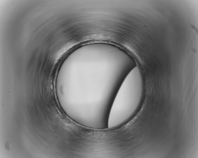 X0000103311070200808291147