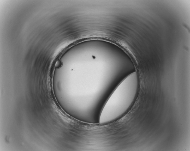 X0000103311072200808291147