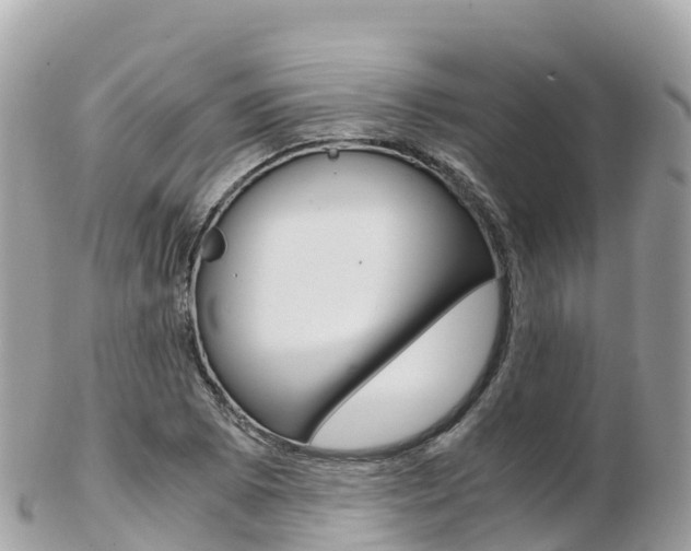 X0000103311073200808291147