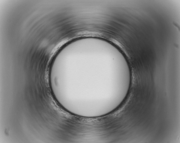 X0000103311074200808291147