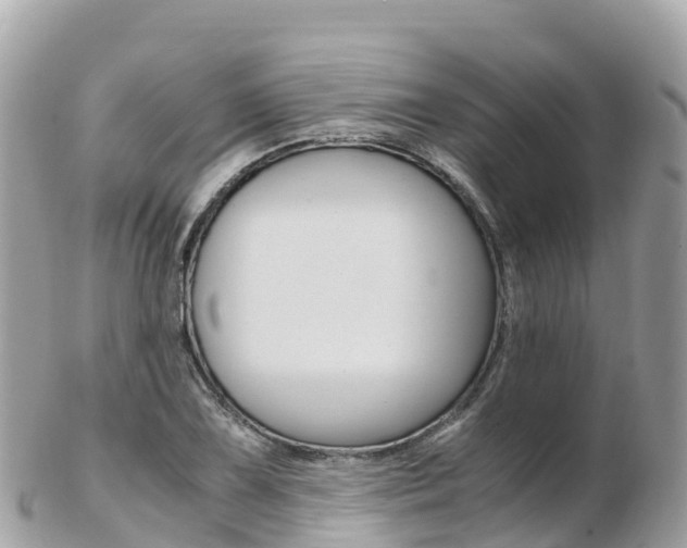 X0000103311075200808291147
