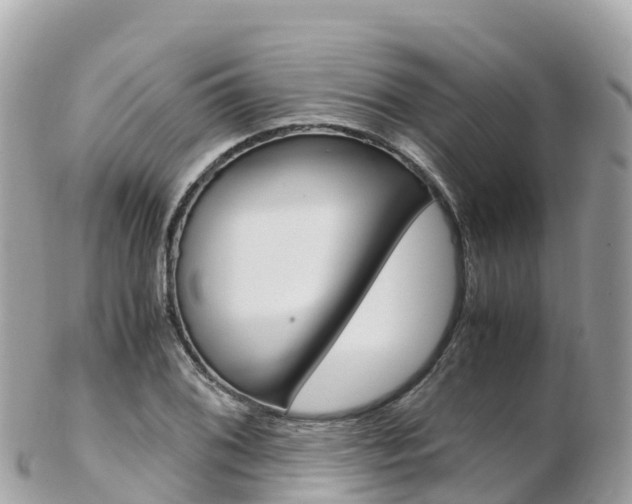 X0000103311076200808291147